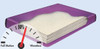 Tranquil III Hardside Waterbed